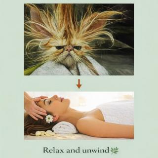 Aromatherapy has been used for thousands of years to support wellbeing and relaxation. Swipe to discover its ancient origins and benefits. 🌿