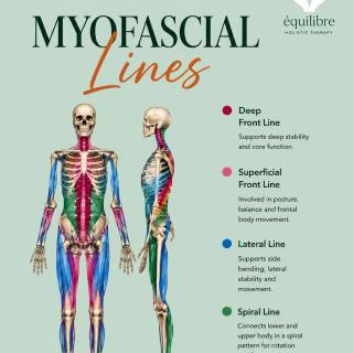 What if your pain isn’t caused by your muscles... but by your fascia?
